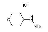 CAS 194543-22-1 (Tetrahydro-2H-pyran-4-yl) hydrazine hydrochloride